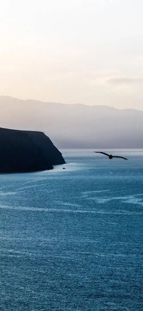 全面屏壁纸高清唯美意境壁纸大图