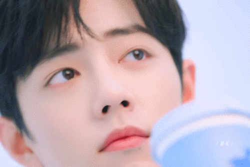 肖战 动图小鹿茶 - 堆糖,美图壁纸兴趣社区