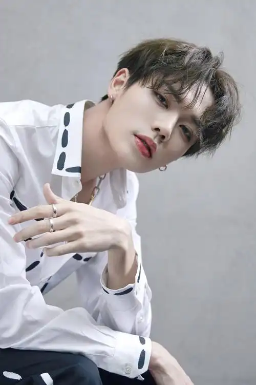 林彦俊(中国台湾男歌手,演员)_石塘网