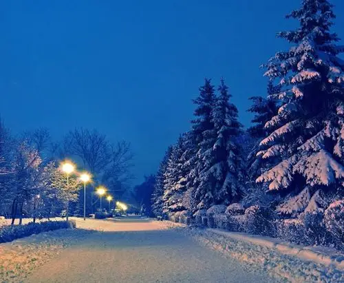风景唯美图片冬季雪景美不胜收