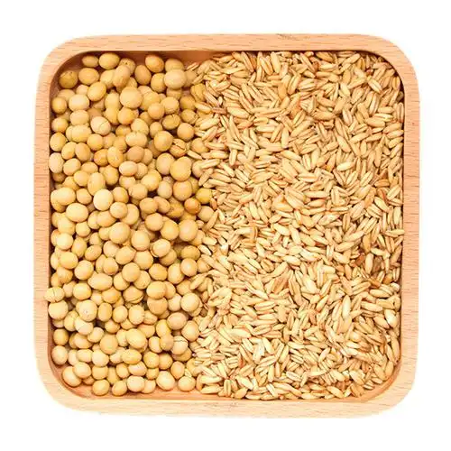 推荐黄豆豆浆原料包烘焙黄豆子现磨燕麦