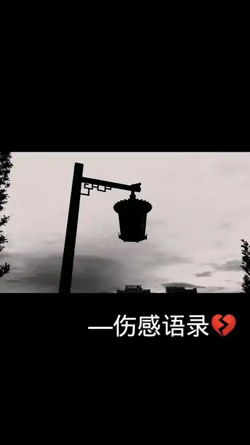 伤心语录 #伤感视频 #我要上头条 我想问一下,你输了吗