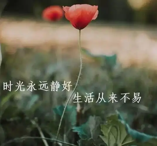 最新人生哲理经典感悟句子 朋友圈走心的心情说说语句