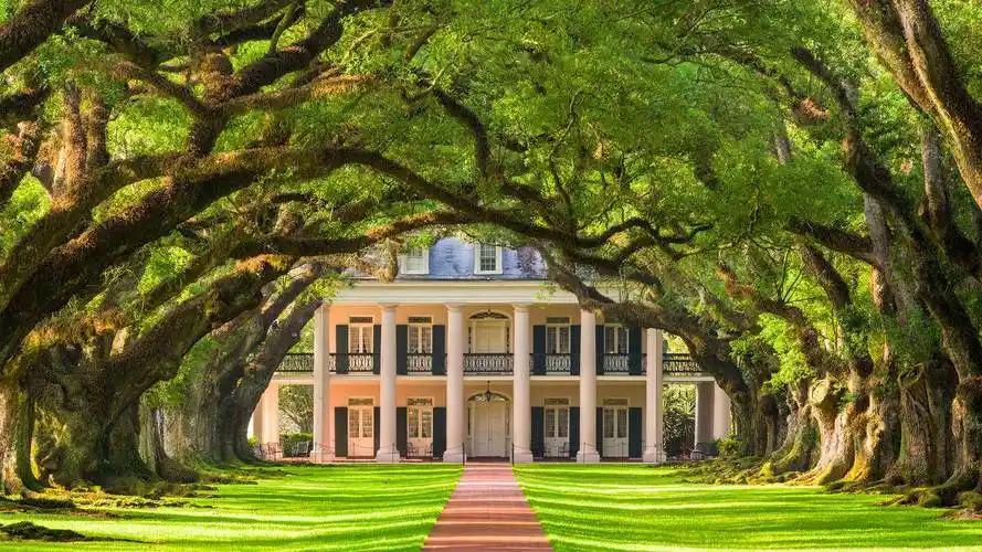 橡木胡同种植园林荫小道草坪别墅风景4k高清壁纸