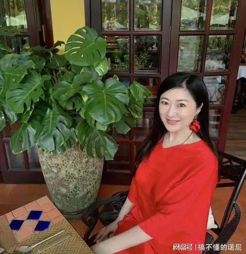 上海主持杨蕾,曾被前夫伤透了心,如今50岁还单身的她过得好吗?