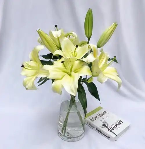 鲜花百合新鲜香水百合粉色花白花黄直销10支空运鲜花速递同城