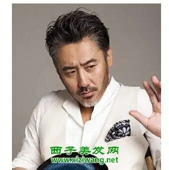 狼奔头发型效果图 男人味道十足的发型