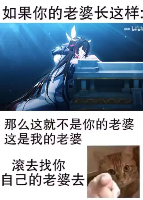 [闲聊杂谈][表情包接力]如果你的老婆长这样.jpg(愚人众篇)