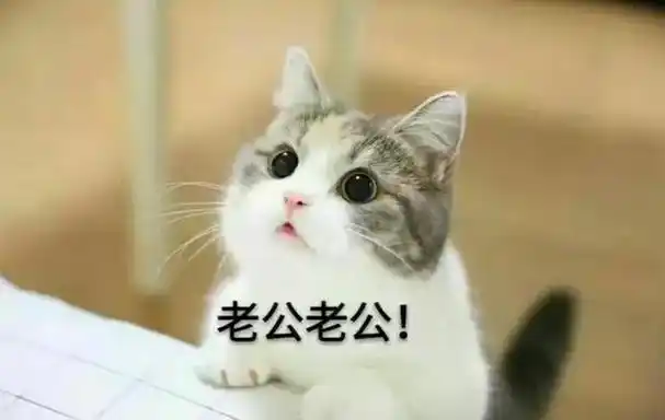 我tm就问一句,在这群谁敢禁言我 - 斗图表情包 - 斗图神器 - adoutu.