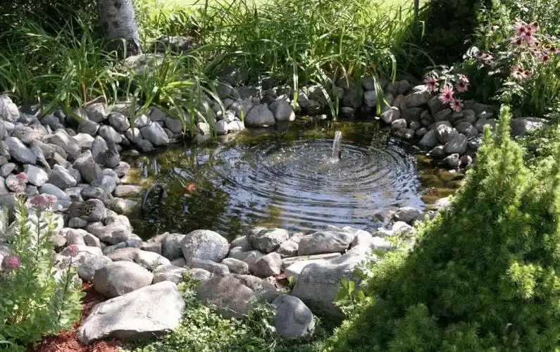 如果你有个庭院,一定要造个水池!_形状_自然_很漂亮