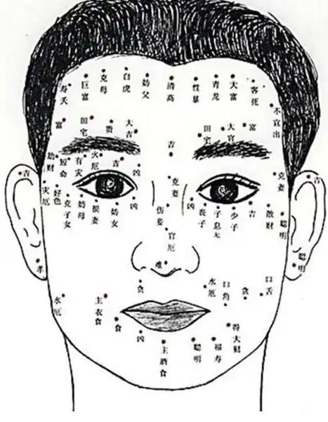 面相痣正确图解男 面相痣的图片大全