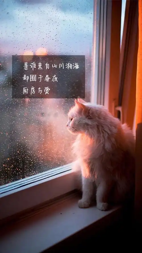 一个人,一座城,一生心疼