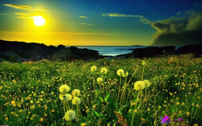 大自然背景图片高清桌面壁纸高清大图预览1920x1200_风景壁纸下载_美