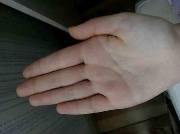 每日手相实例之手宽金星丘饱满大吉大利智商高富贵之人