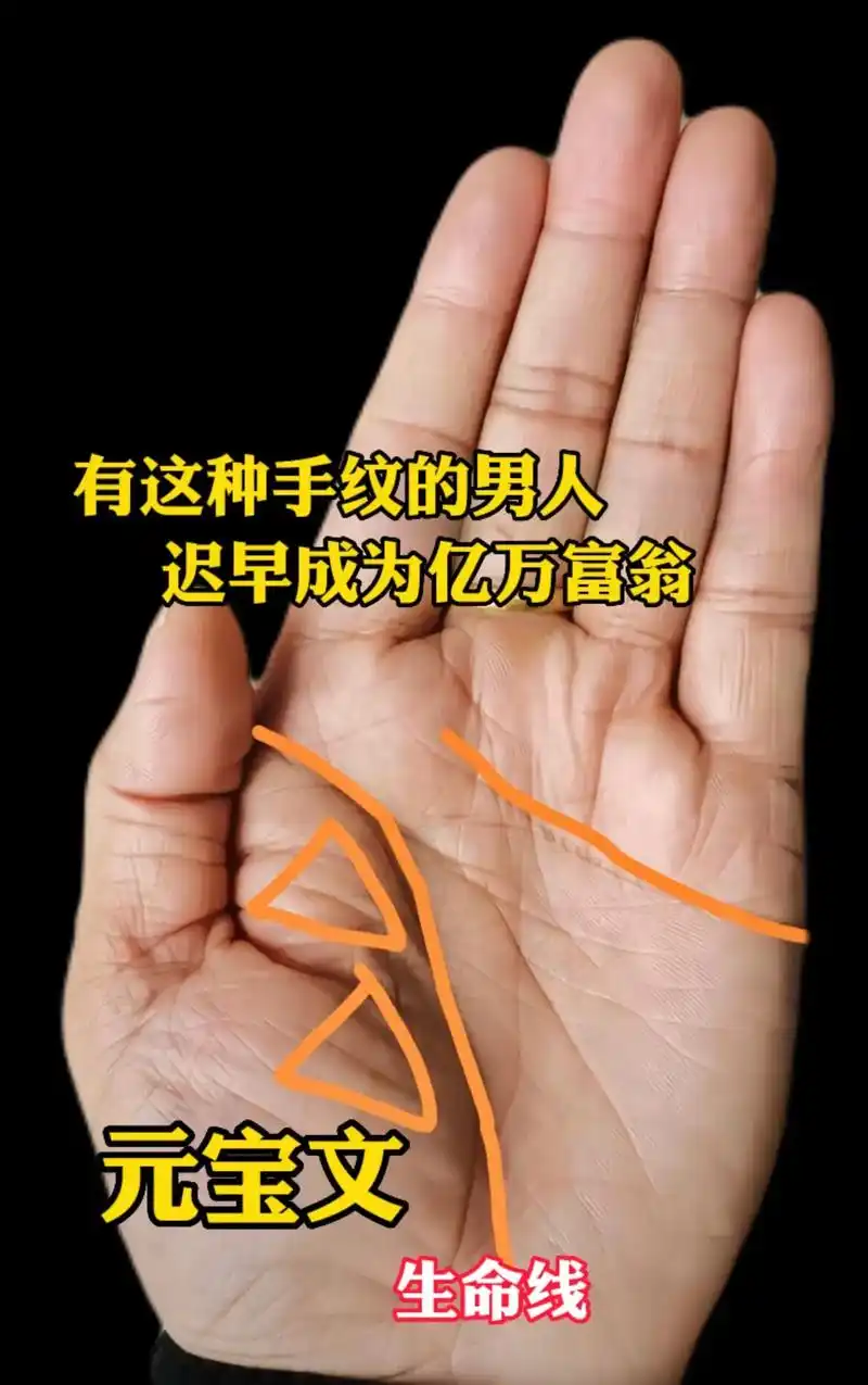 大富豪的手.#掌纹的秘密 #国学文化 #手掌纹 - 抖音