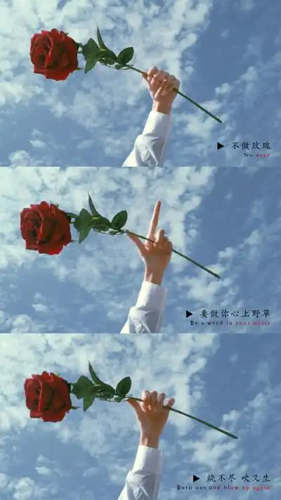 小哥哥三格 - 堆糖,美图壁纸兴趣社区