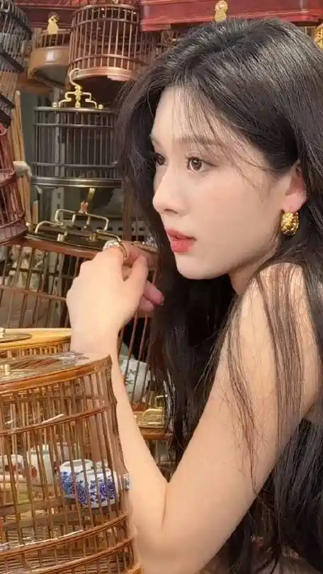 王子璇资源站的微博视频