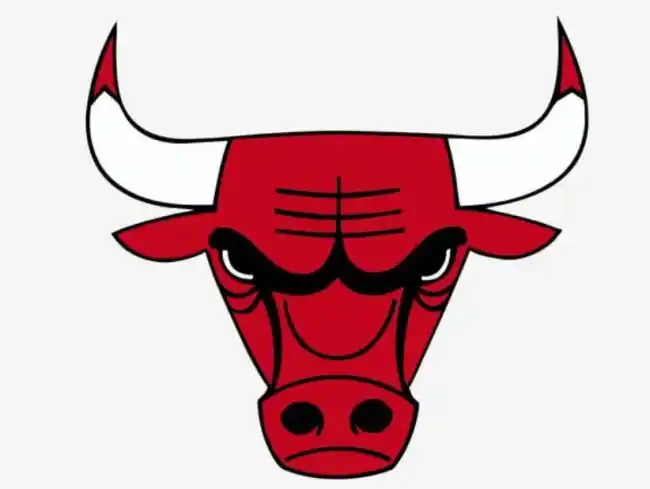 nba东部球队芝加哥公牛队