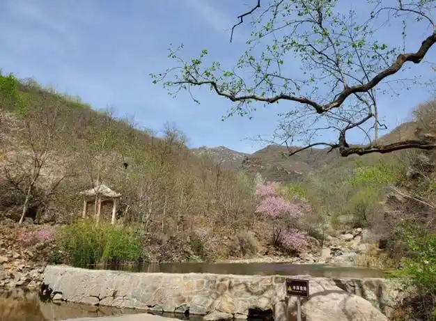 周末游天宫蟠桃园里桃花开春日胜景美如画