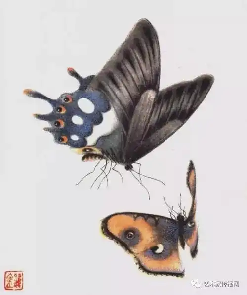 画蝶三剑客的工笔蝴蝶欣赏|画家|百蝶图|张大千|工笔画|齐白石_网易