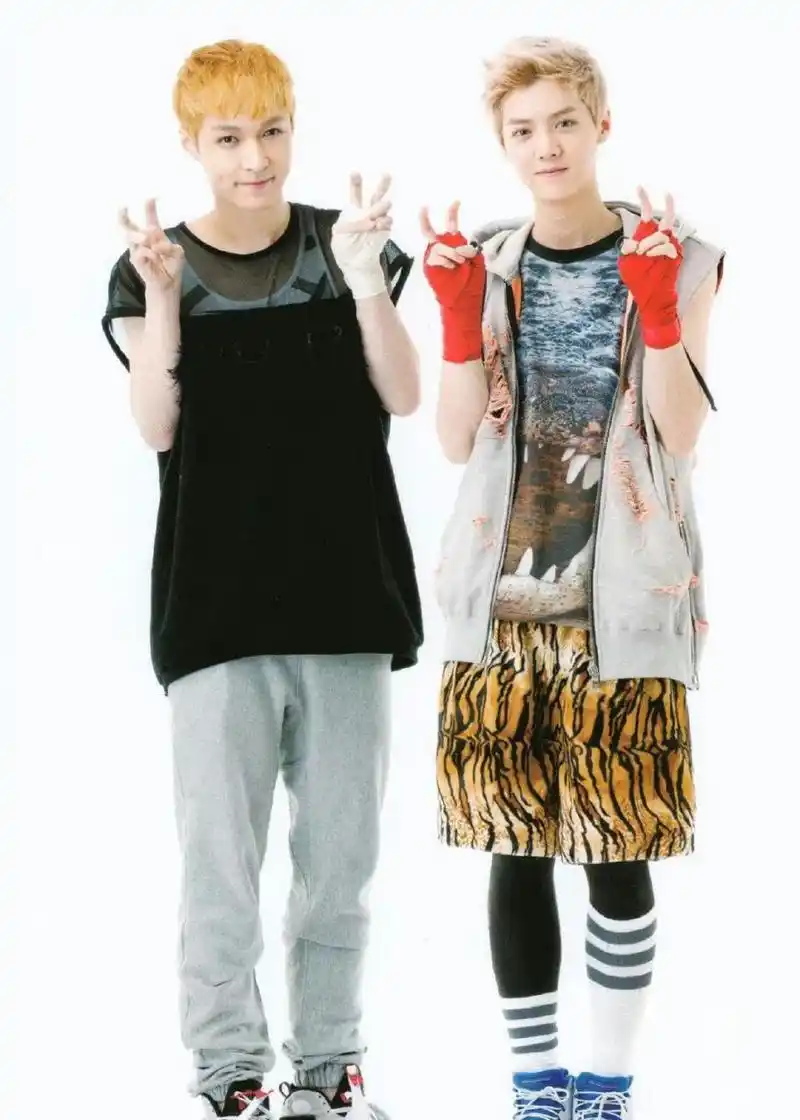 张艺兴鹿晗同框照,多少人的回忆