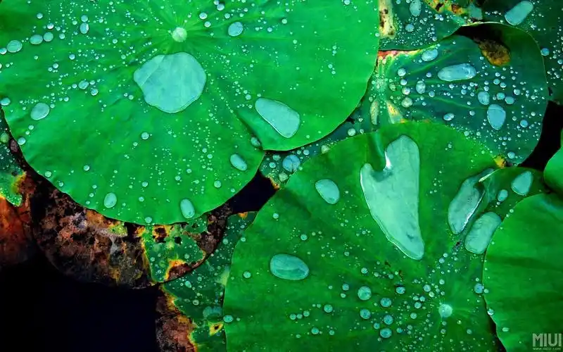 性格让人捉摸不定,心情变化莫测,但必要时刻总能成就大事的星座