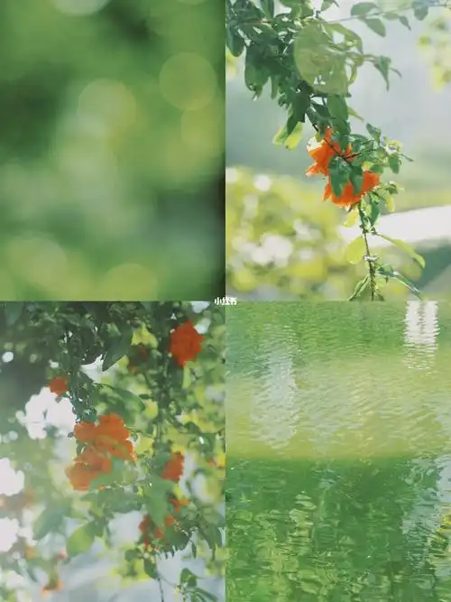 分享一份清爽通透的绿色vsco调色