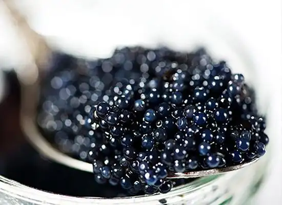 广州鱼子酱孕妇能吃吗-甘肃海龙鱼子酱