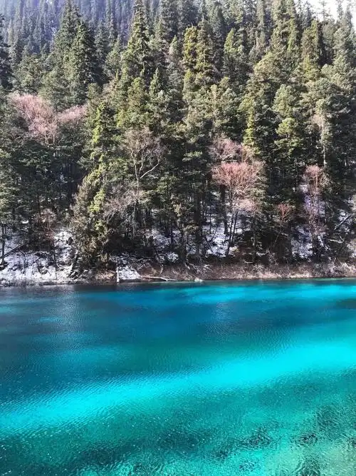 没想到这么大……来九寨沟真的很惊喜,风景太迷人了,我们是2020年的12