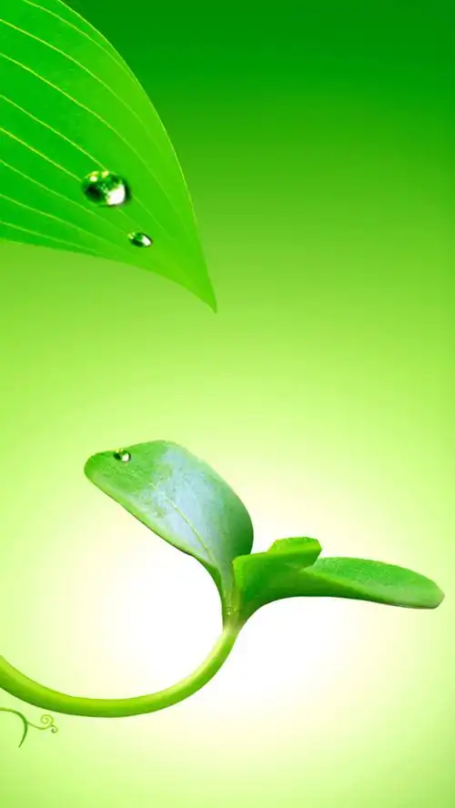 关键词 : 嫩芽,树叶,水珠,清新,绿色,文艺,小清新,简约[声明] 觅元素