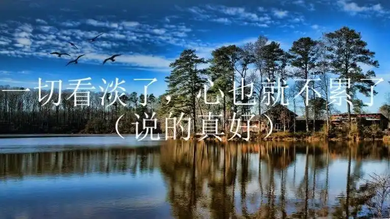 一切看淡了,心也就不累了(说的真好)