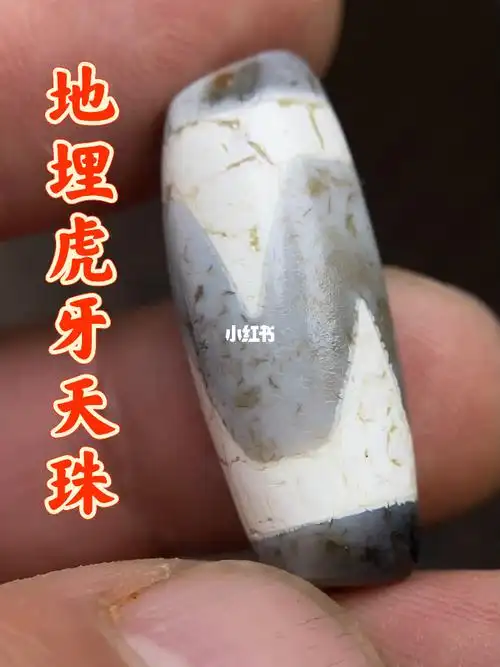 极品地埋虎牙天珠