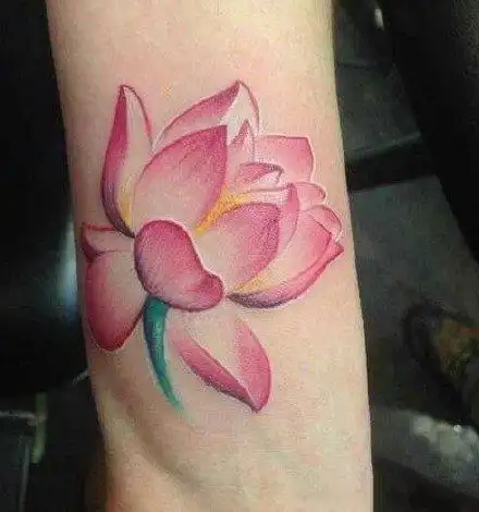出淤泥而不染的粉红荷花纹身图案39