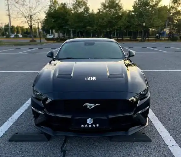 20款黑武士野马到店