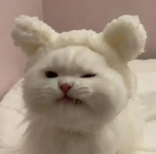 微信头像大全建议换下