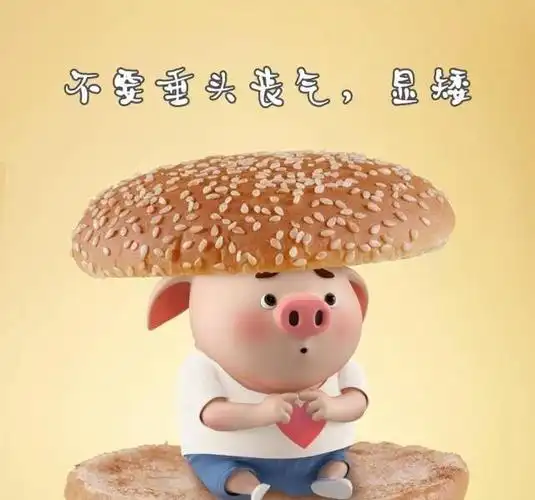 朋友圈最幽默的个性说说让你乐开花