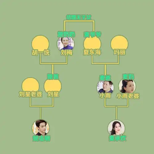 用家有儿女代承欢记男女主关系