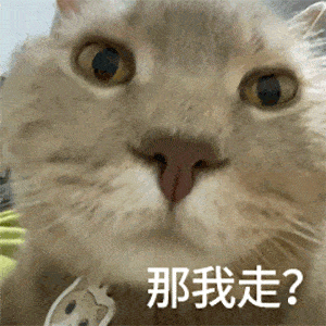 可爱猫猫表情包