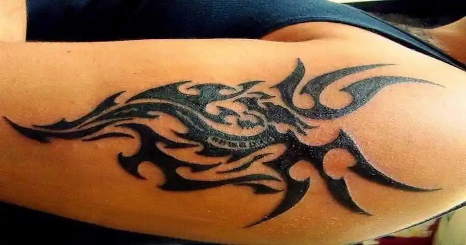 点击大图看下一张:男生手臂上黑色线条创意霸气图腾纹身图案