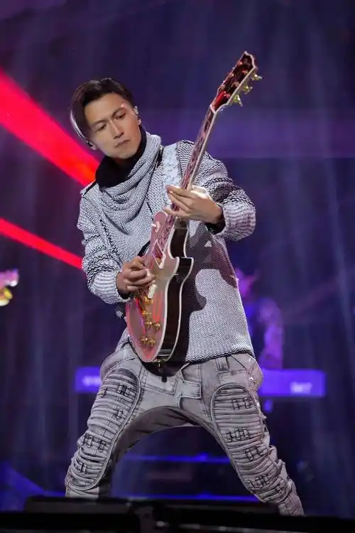 谢霆锋锋狂摇滚演唱会携四乐队共同燃炸超现场附全场回顾视频