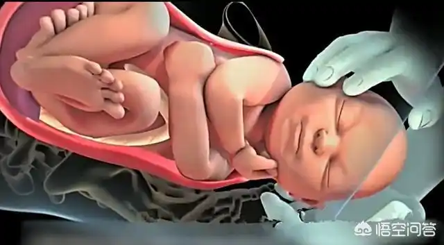 2020年中考作文指导:怎么写好读后感