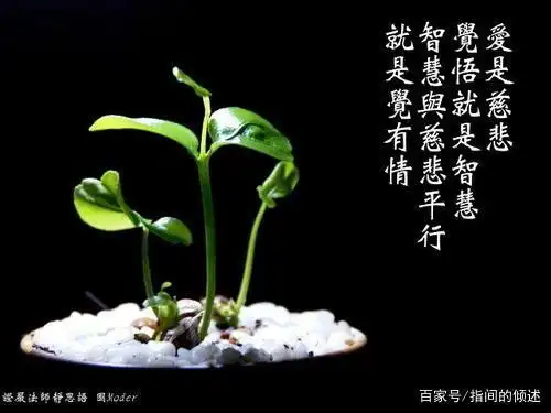 人的修行最高境界的句子