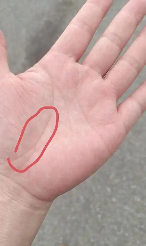 如何看手相生命线长短