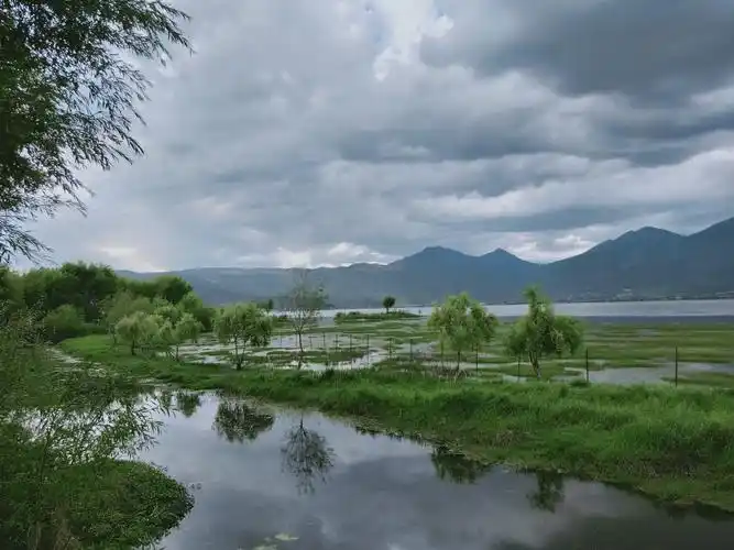我已经奔流到了丽江坝放牧着牛羊的草甸上,我也要去四方街.