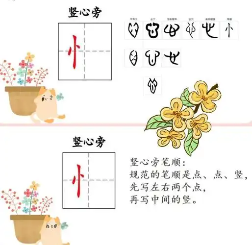 竖心旁书写秘籍💖从基础到进阶全掌握