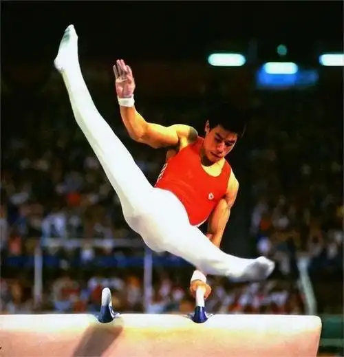 61岁体操王子李宁现况:独自提包现身巴黎,头发花白变成小老头