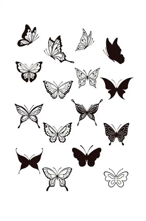 黑白蝴蝶图片-黑白蝴蝶素材下载-众图网