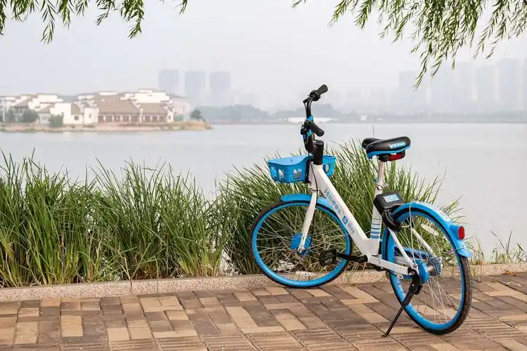 共享单车的自述