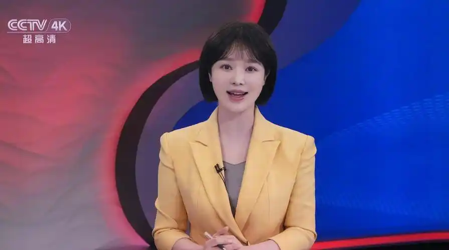 全国最漂亮女主持人(10大电视台最美女主持)