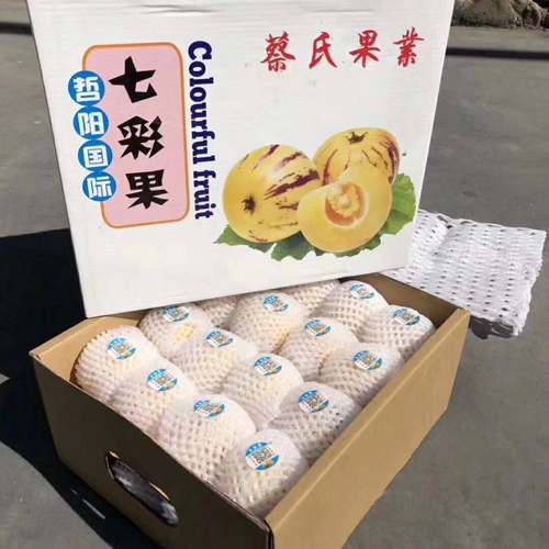 云南七彩人参果新鲜水果七彩果圆果当季时令水果原箱礼盒装发顺丰